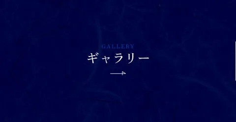 ギャラリー